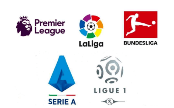 而若鸟则站 而若鸟则站